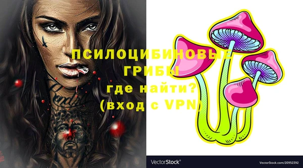 метамфетамин Ельня