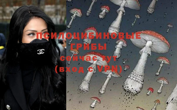 мяу мяу кристалл Елабуга